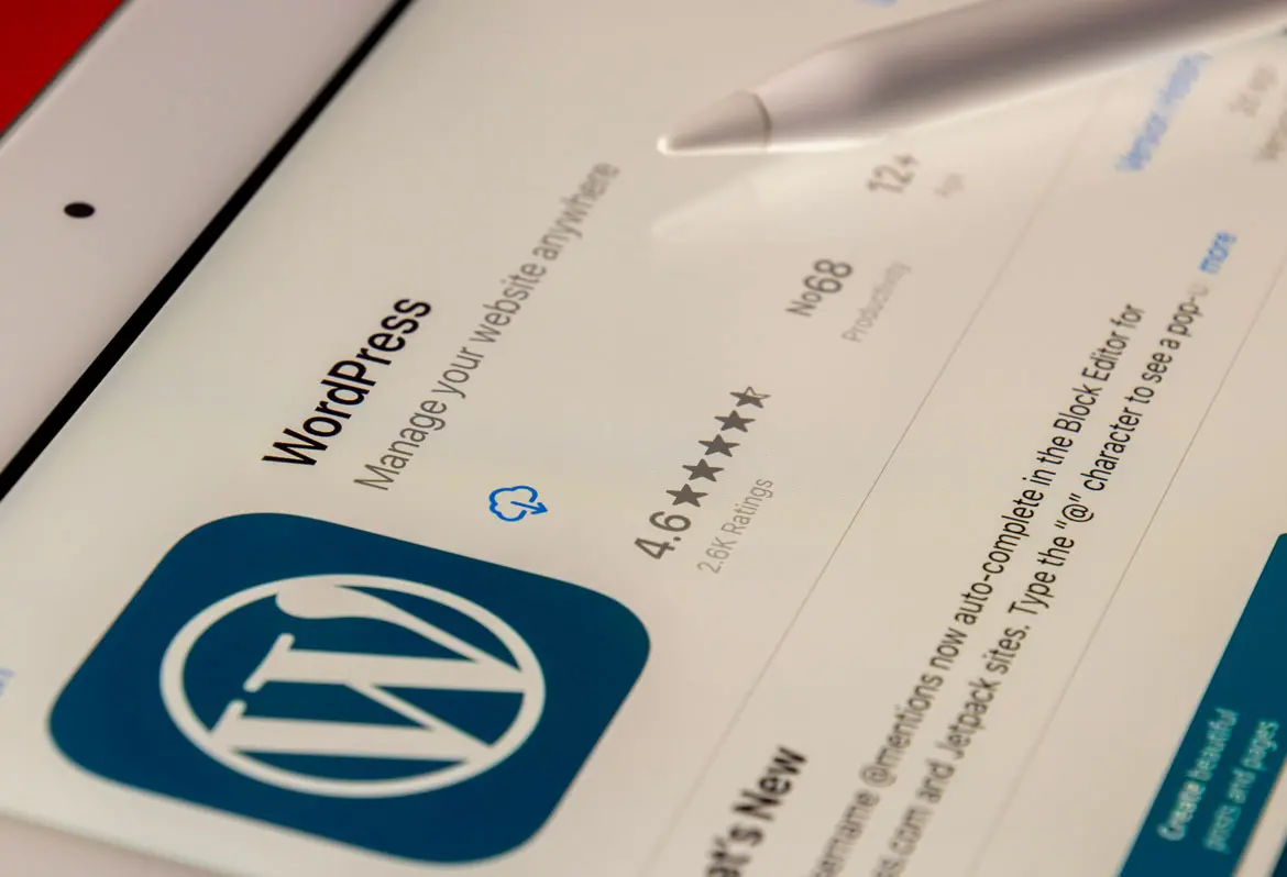 WordPress Web Site Tasarımı